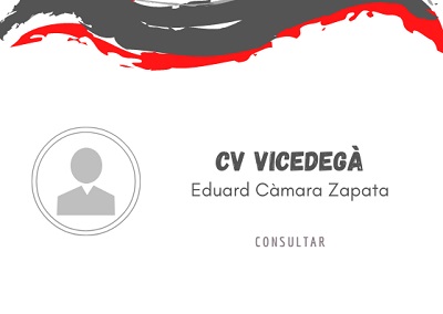 2 vicedega