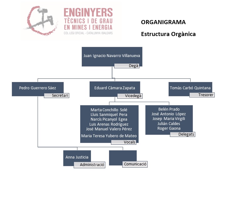 Organigrama 07112022