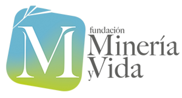 Fundació Mineria i Vida