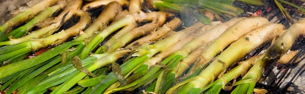 Calçotada minera 2018