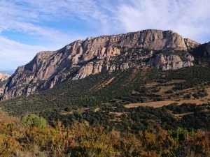 Primer Aplec de les Pedres