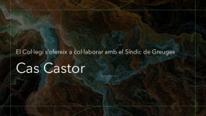 El Cas CASTOR