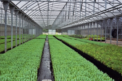 Visita organitzada al Planter Central de la Forestal Catalana